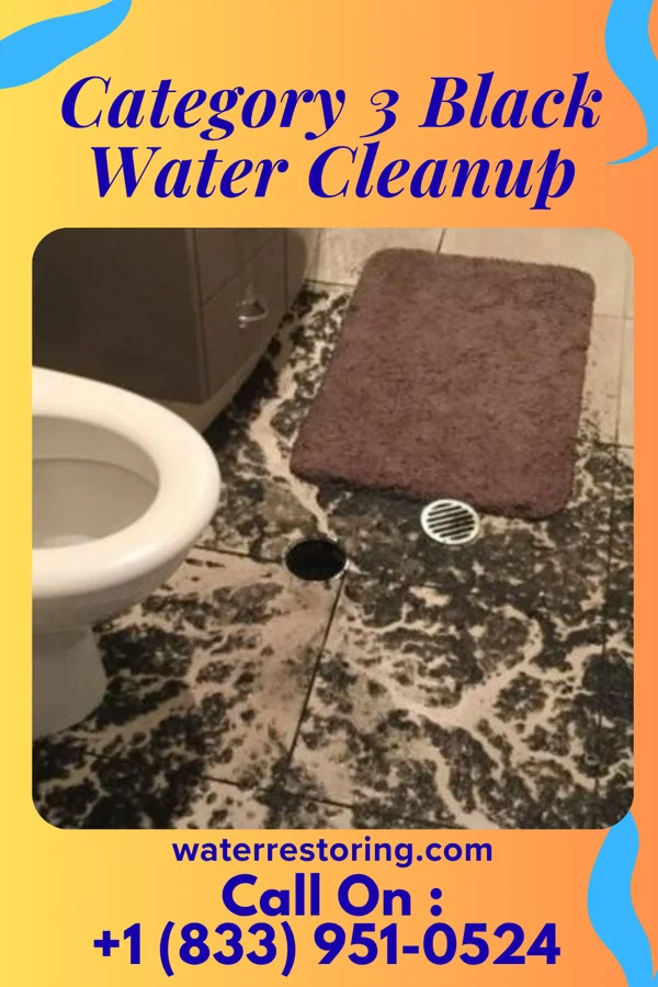 Category 3 Black Water Cleanup in Chickasaw Point, SC