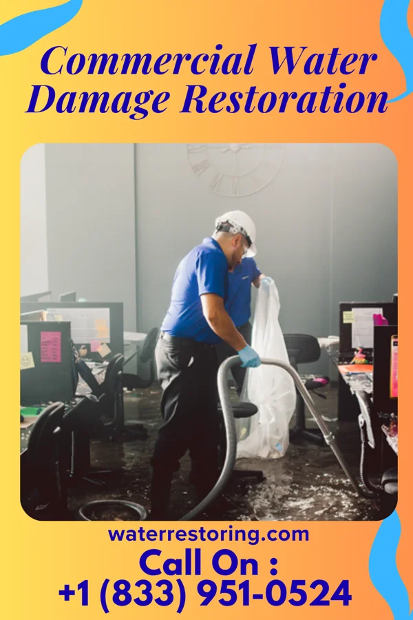 Commercial Water Damage Restoration in Chickasaw Point, SC